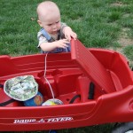 Green Hour Connection: Fun on Wheels!