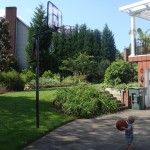 Sentimental Snapshots: Hoop Dreams