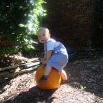 Name that Caption: A Slightly Awkward Picture with a Pumpkin…