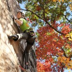 Rocktober-fest at the New River Gorge