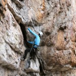 PETZL Helmet Campaign – Round 2!