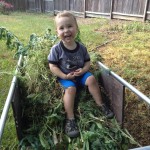 Sentimental Snapshots:  The Weedman