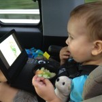 Road-Trippin’ with a Toddler – 10 Tips for Keeping Your Sanity
