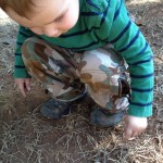 Safety with Snakes and Curious Toddlers