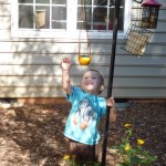 Green Hour Craft Project:  Bio-degradable Bird Feeder!