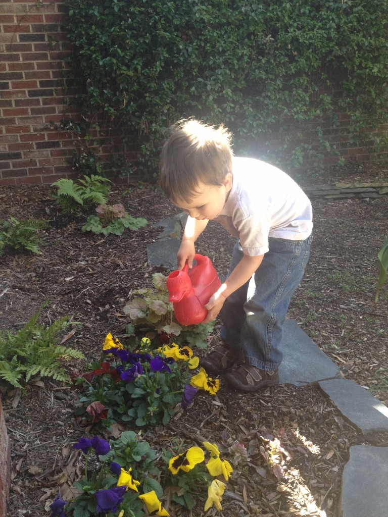 My little gardener.