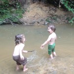 Summer Bucket List for Families