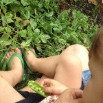 Five Glories of Gardening…with Kids