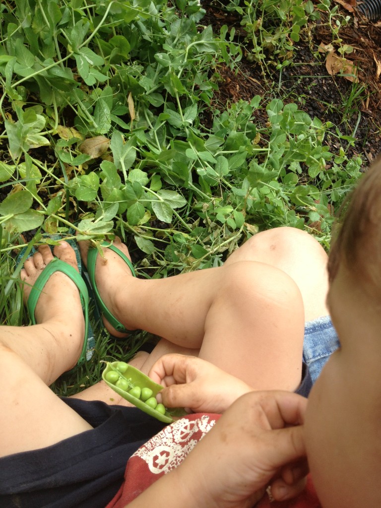 The perfect snack - straight from the garden and into the tummy!
