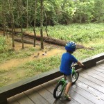 Toddler Bikes and the GOOD Kind of Peer Pressure…