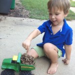 Junior Entomology 101: Cicadas!