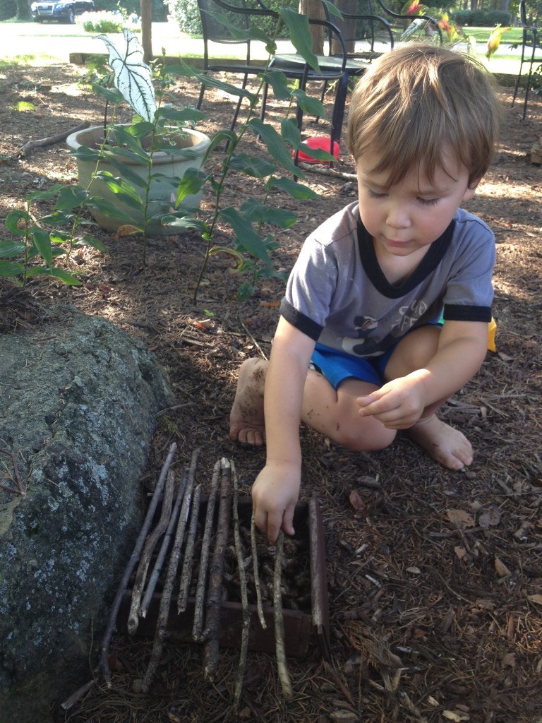 Building a "cicada house."