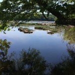 Adventures at Landsford Canal State Park