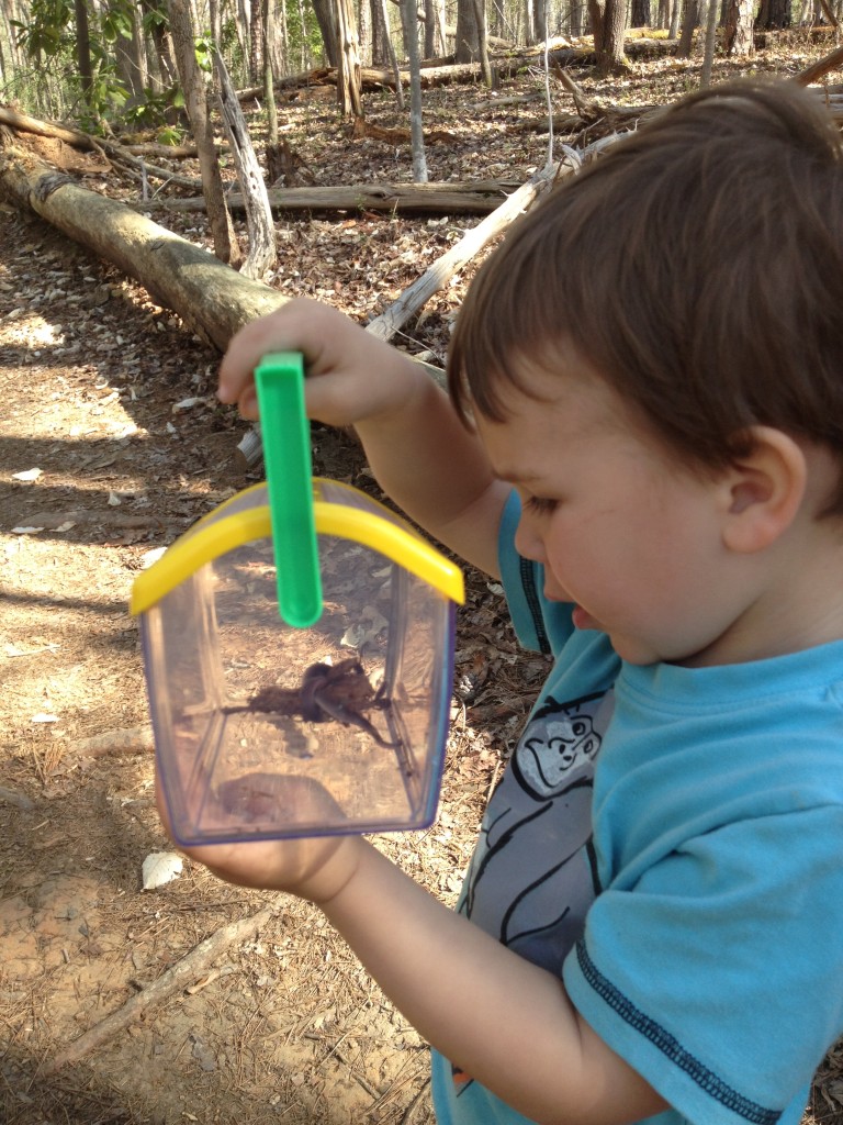 We rarely go on a hike without our bug box in tow.