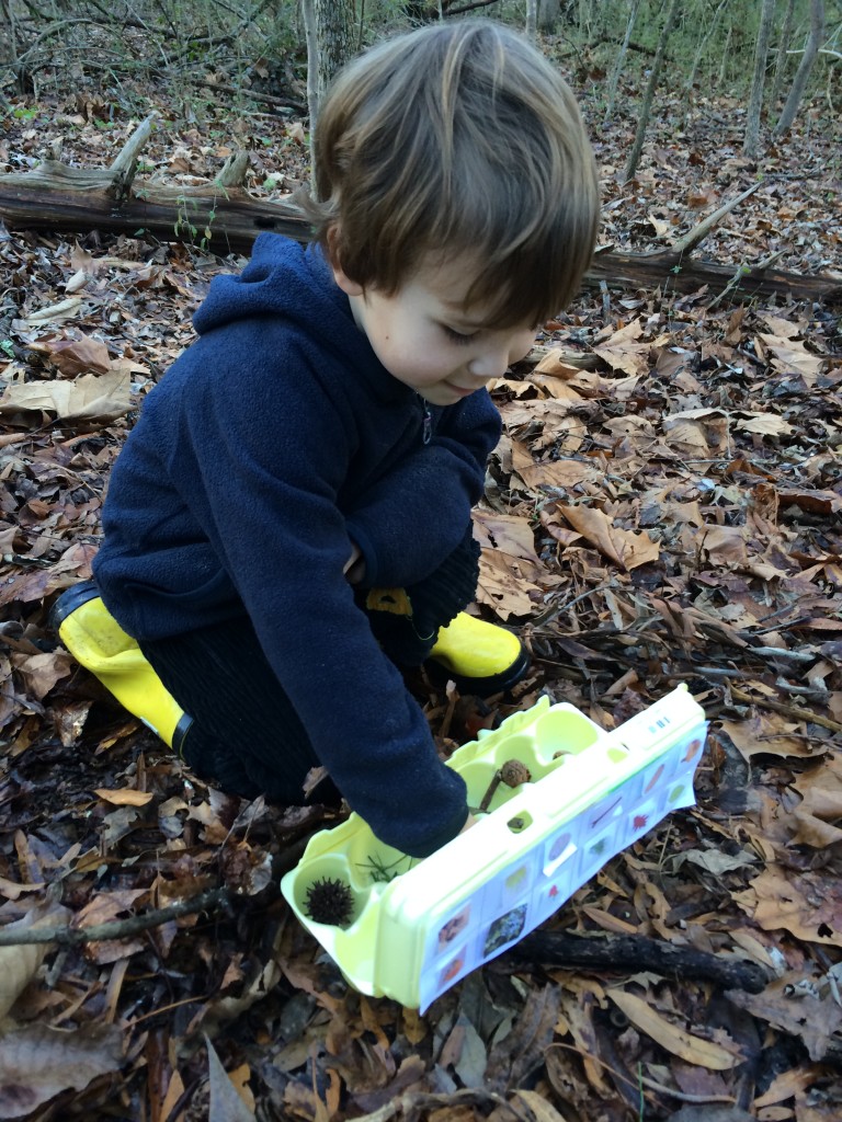 Egg Carton Scavenger Hunt