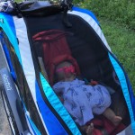 A Blackberry Biking Bonanza