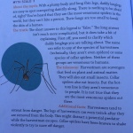 Family Literacy: The Truth About Nature