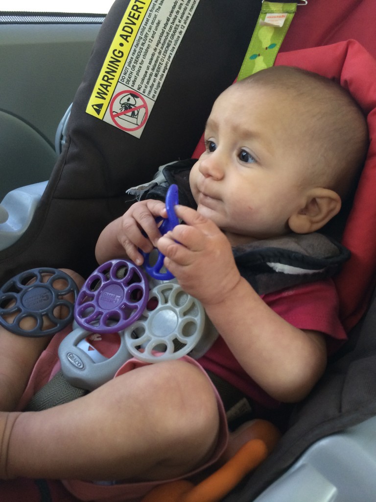 Baby Z looking for some finger strength gains.