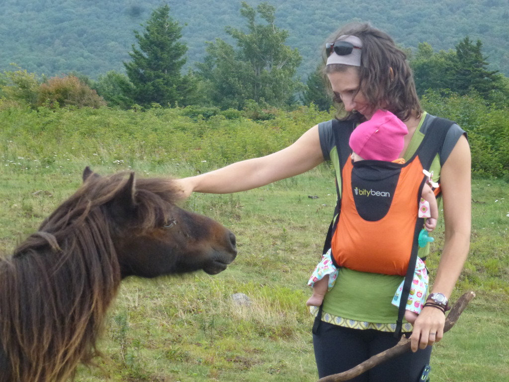 Checkin' out the wild ponies at Grayson Highlands!