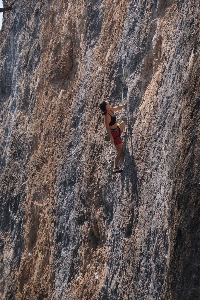 Shaking out before the business on Center El Shinto 12b/c