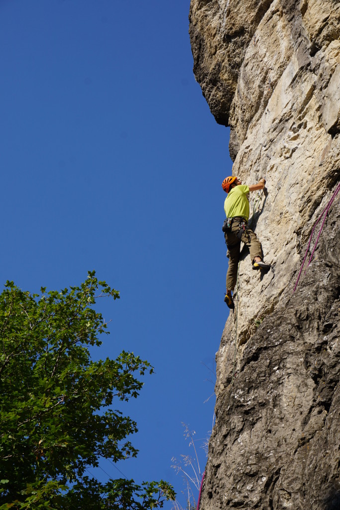 Like a Limestone Cow(boy) 12a
