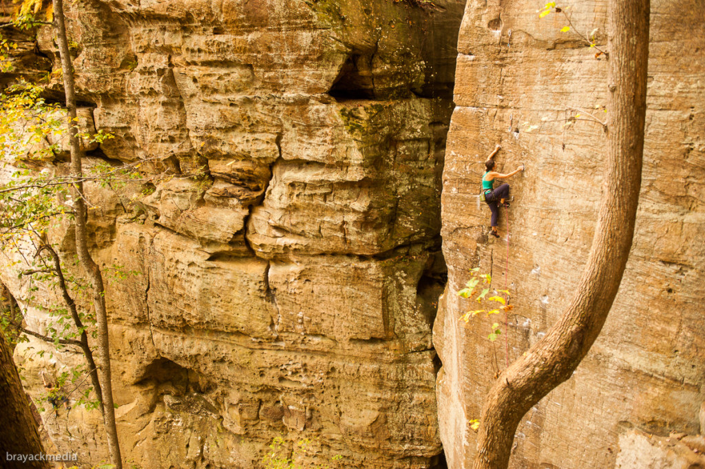 Atypical for the Red, classic all day long!  Random Precision 11b.