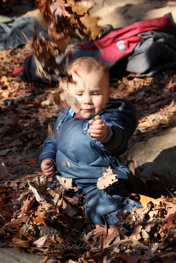 20 months old at the Red River Gorge, November 2011