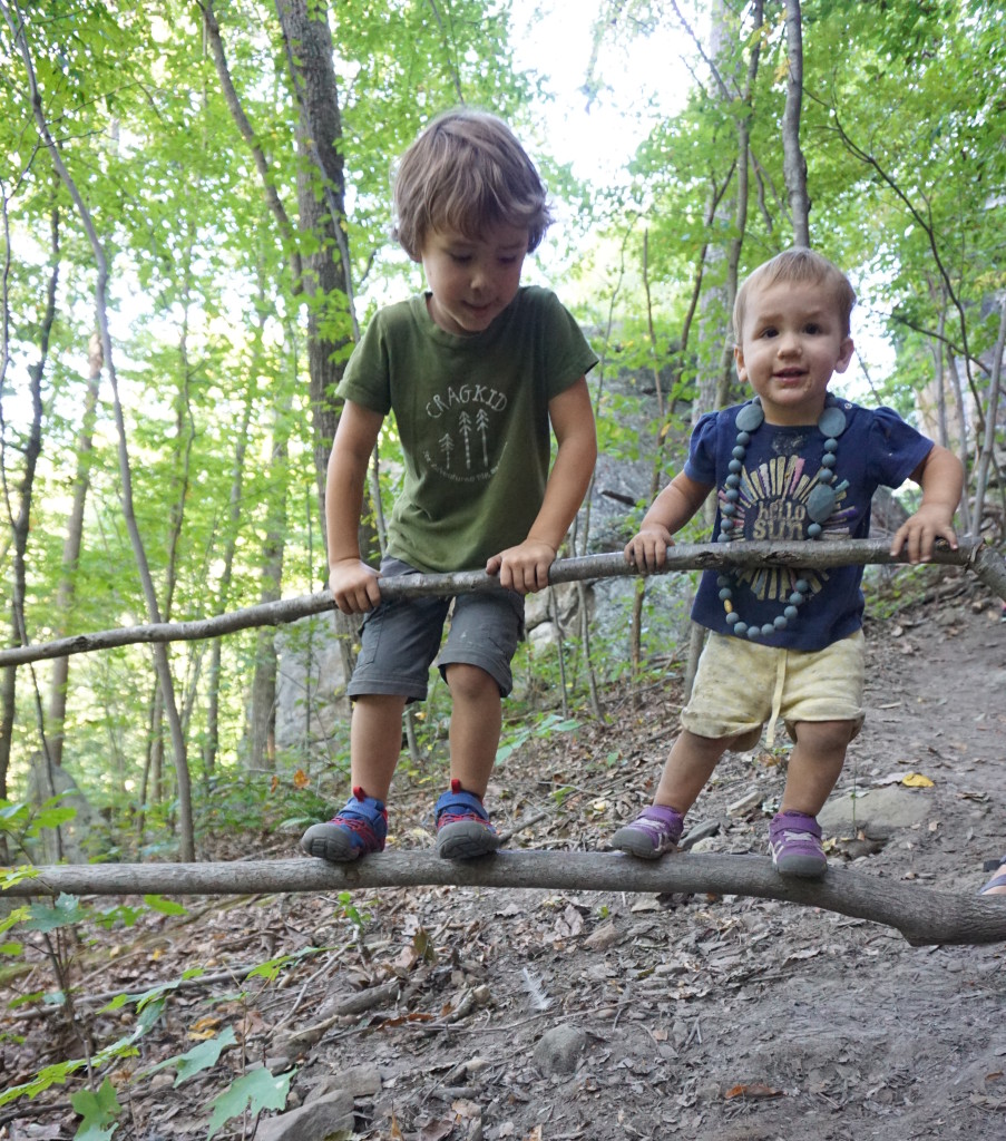 Ninja obstacles at the crag.