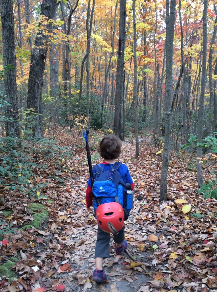 Exploring the fall foliage at the New River Gorge, WV