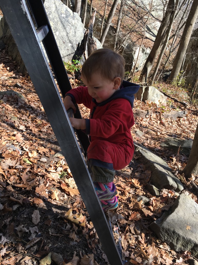 Big brother isn't the only one who has fun on the ladders