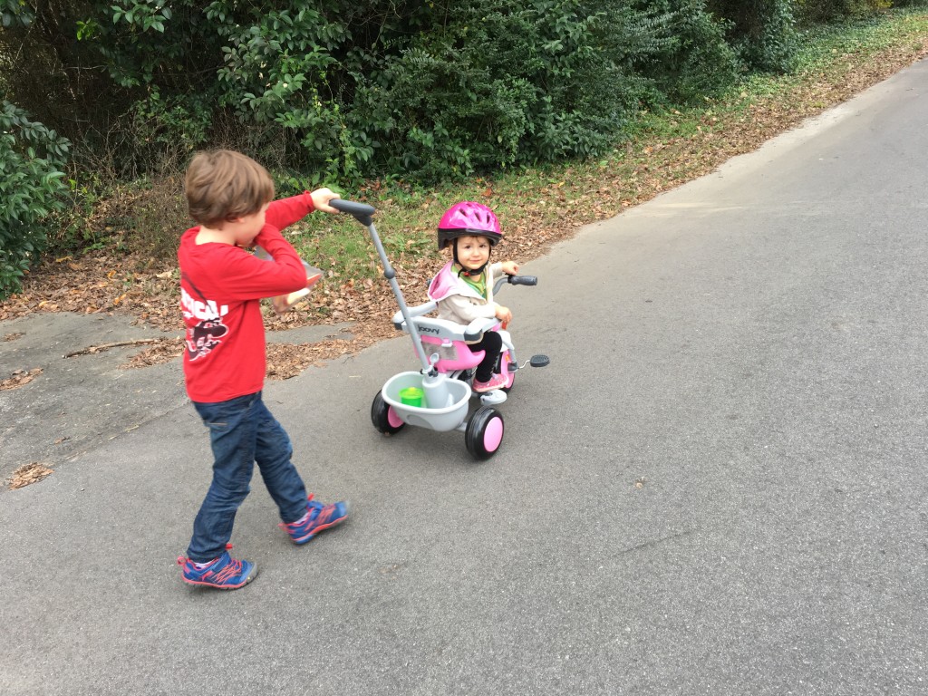 Big brother taking a turn to push!