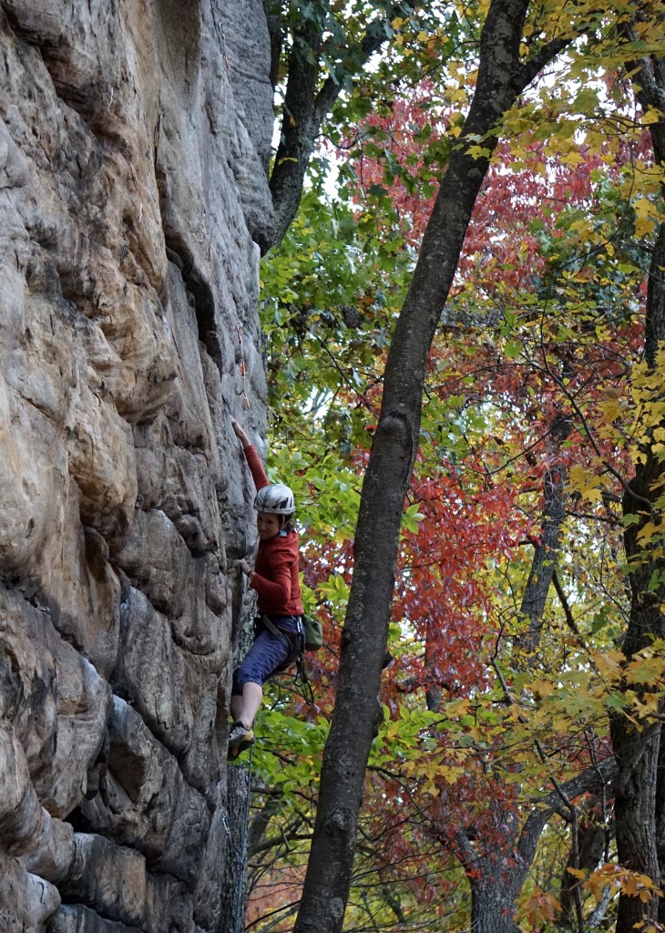 Getting ready for the 3rd clip, awash in a sea of full color foliage.