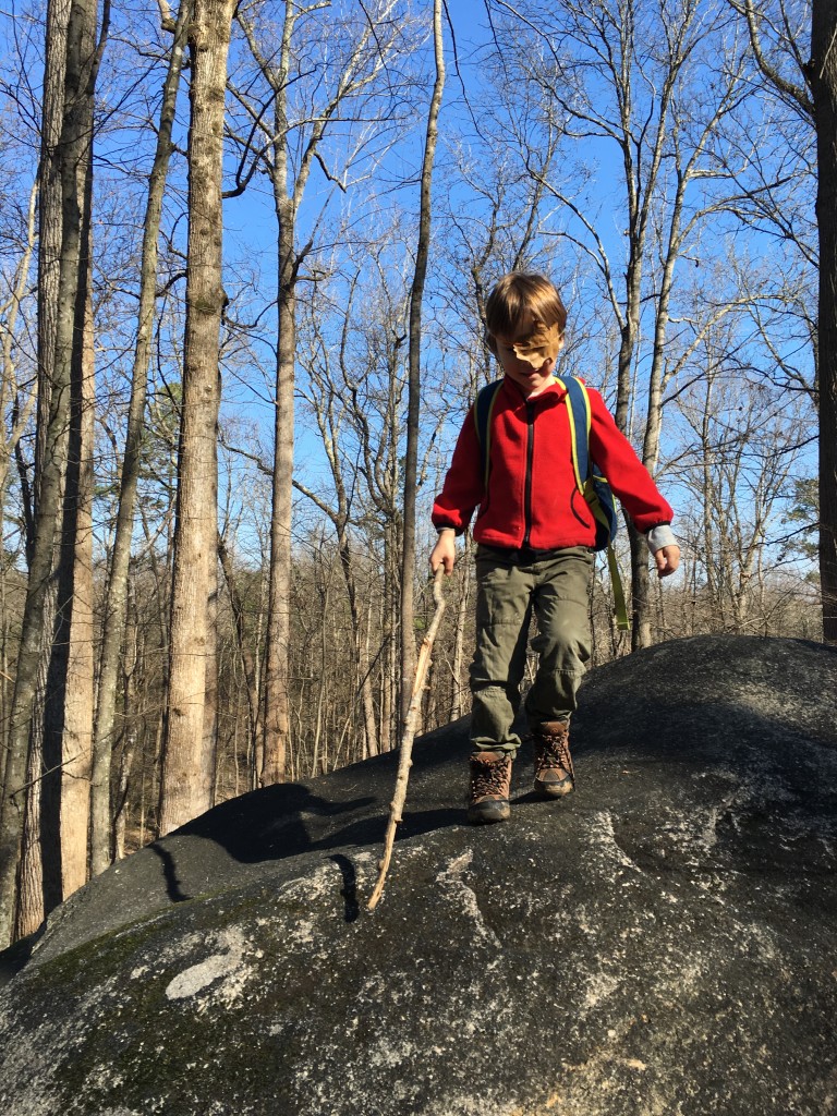 Going on a "pirate" scavenger hunt at a local nature preserve.