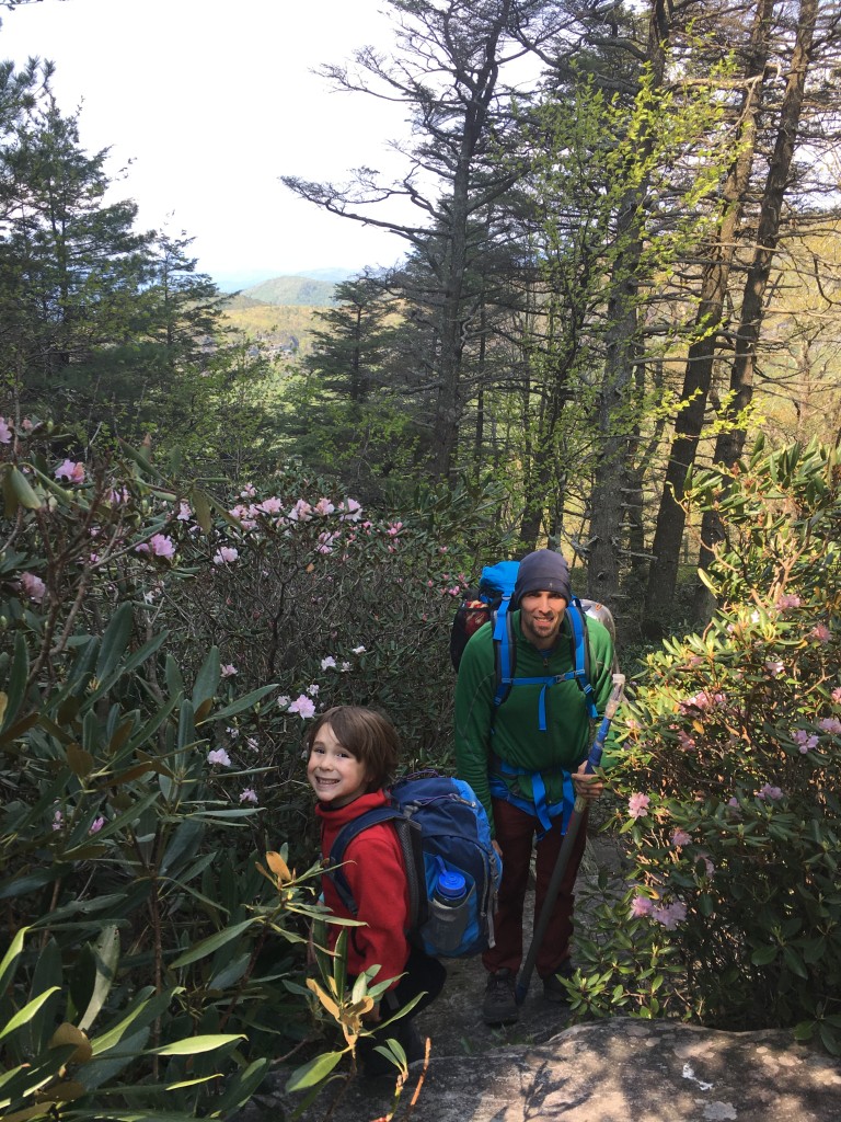 Blooming rhodos made for a beautiful approach!