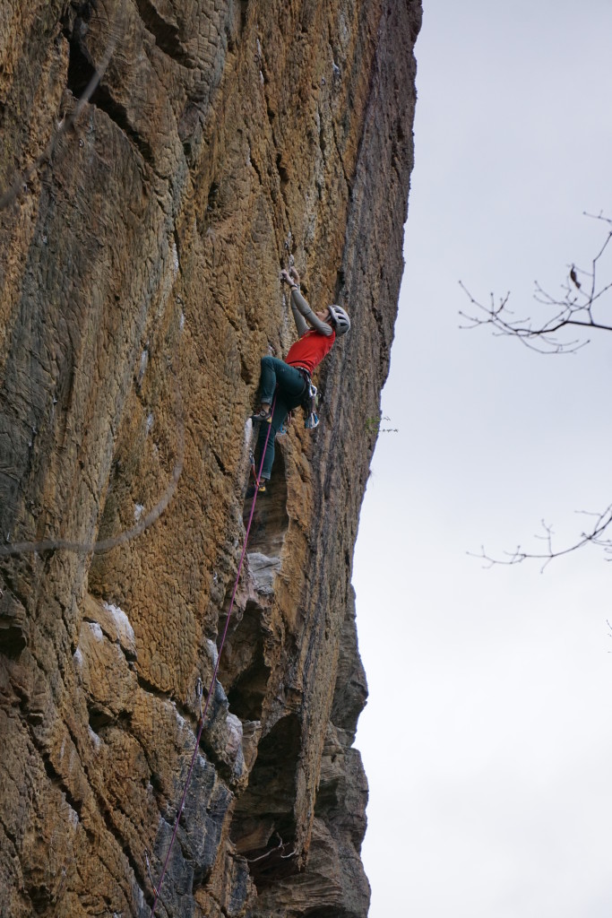 Enjoying the jugland on the upper section of Banshee 11c