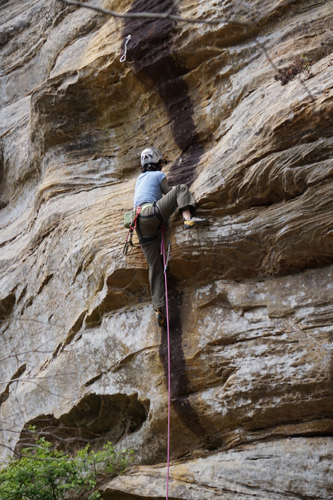 High-stepping along the black streak of Beef Stick 12a.