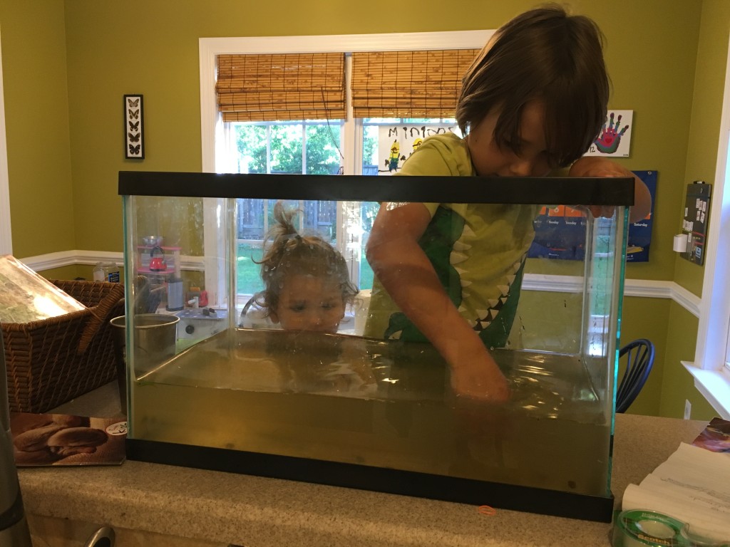 Our "kitchen pond."