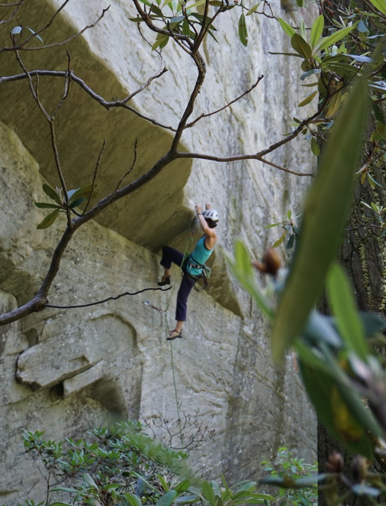 Approaching the roof crux, Line of Fire 12c