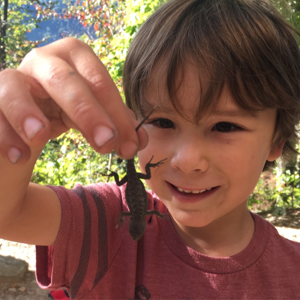 My budding herpetologist.