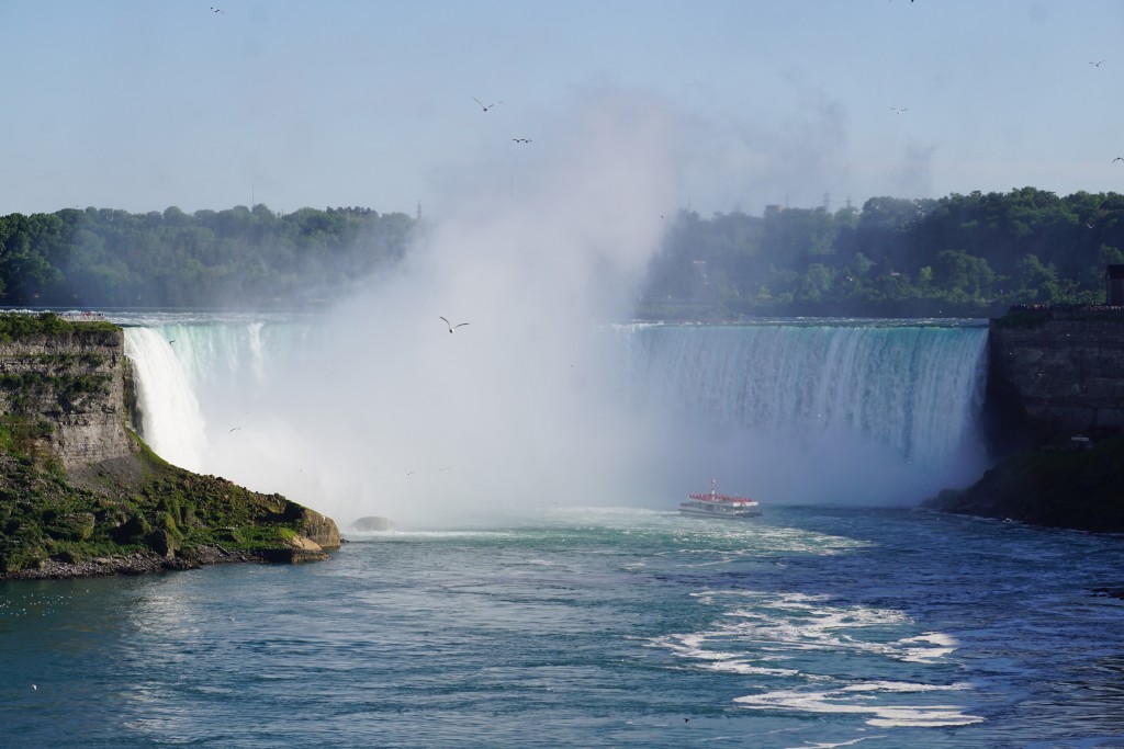 Horseshoe Falls in all it's glory!