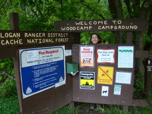 Wood Camp campground in Logan Canyon
