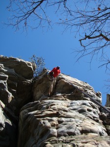 Steve finishing the roof with style!