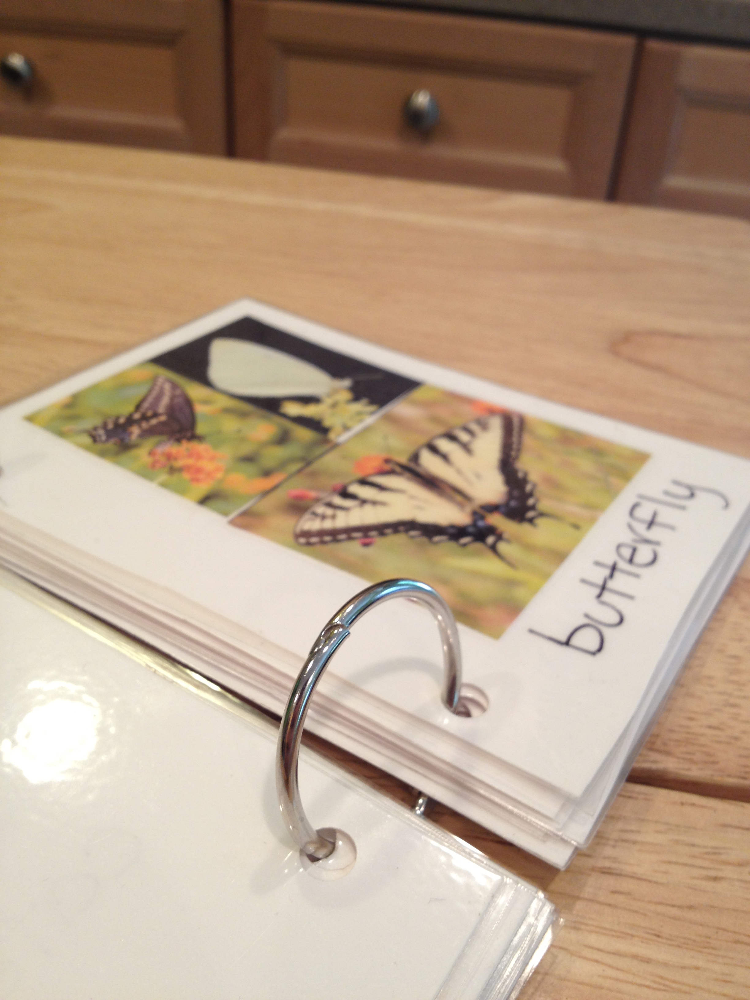 Handmade Field Guide Cragbaby’s First Field Guide | Cragmama